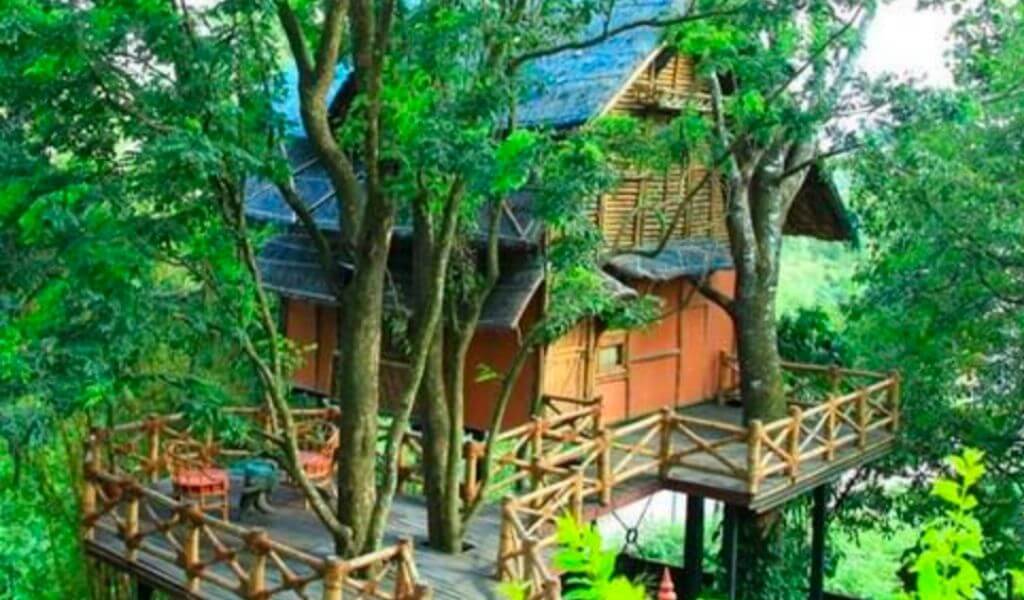 Wayanad Tree House