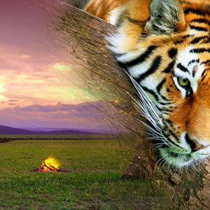 Luxury Tours to India