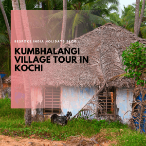 Kumbalangi Village Tour in Kochi