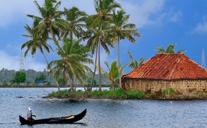 Kumbalangi Village Tour near Kochi