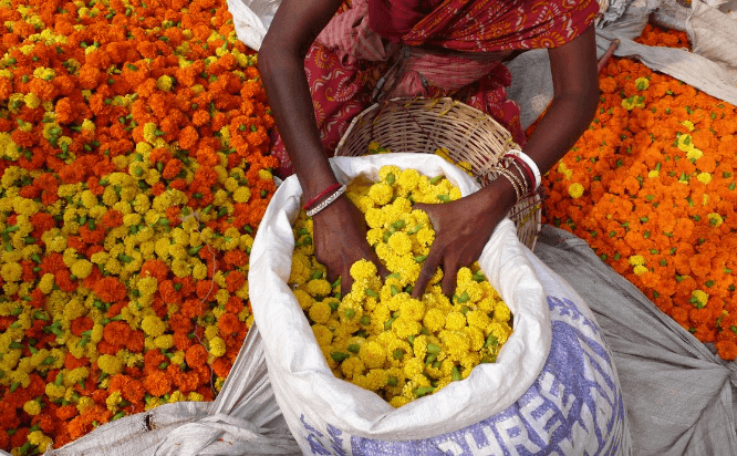 Best places to visit in Kolkata - Flower Market