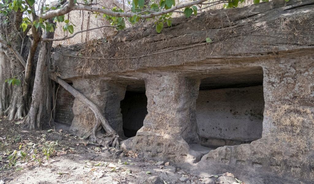 Bandhavgarh National Park Fort