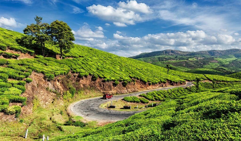 Luxury Kerala Tours in Munnar