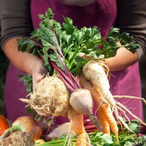 The Organic State of India- Sikkim