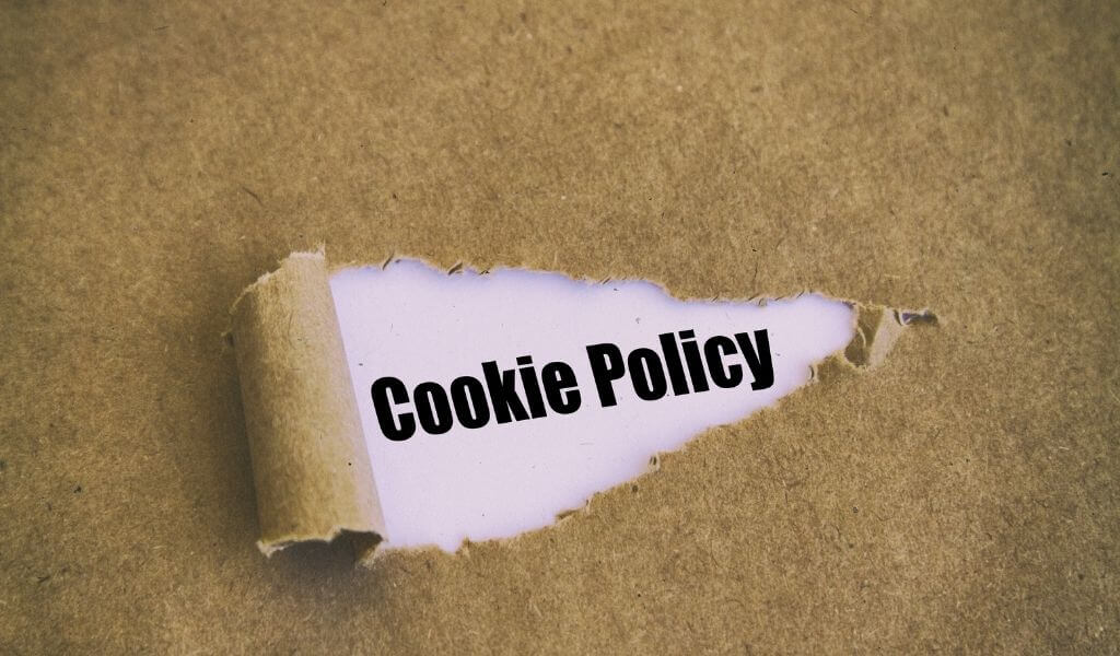 Bespoke India Holidays Privacy Policy Cookie