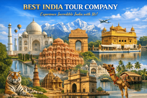 How a Professional Tour Company Helps You Travel Safely in India
