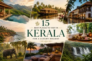 Luxury Kerala travel collage featuring a houseboat, tea plantations, beaches, wildlife and waterfalls
